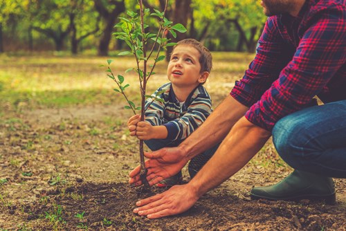 Adult and child planting a tree sapling for community and environmental sustainability