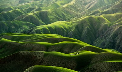 Aerial view of lush green hills and valleys representing a sustainable environment
